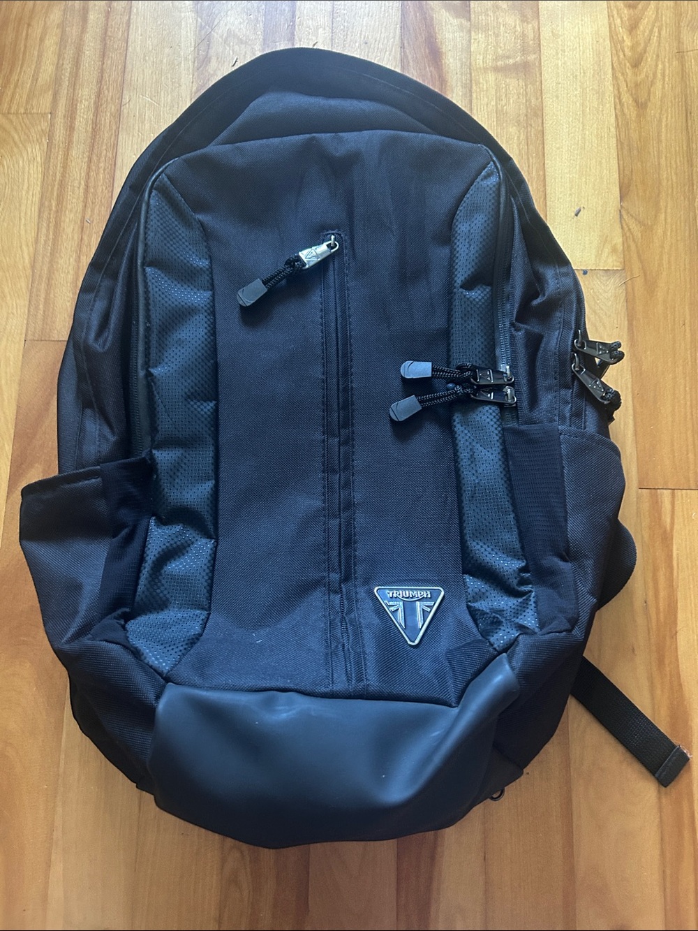 Triumph Black Men's Backpack with Rain Cover